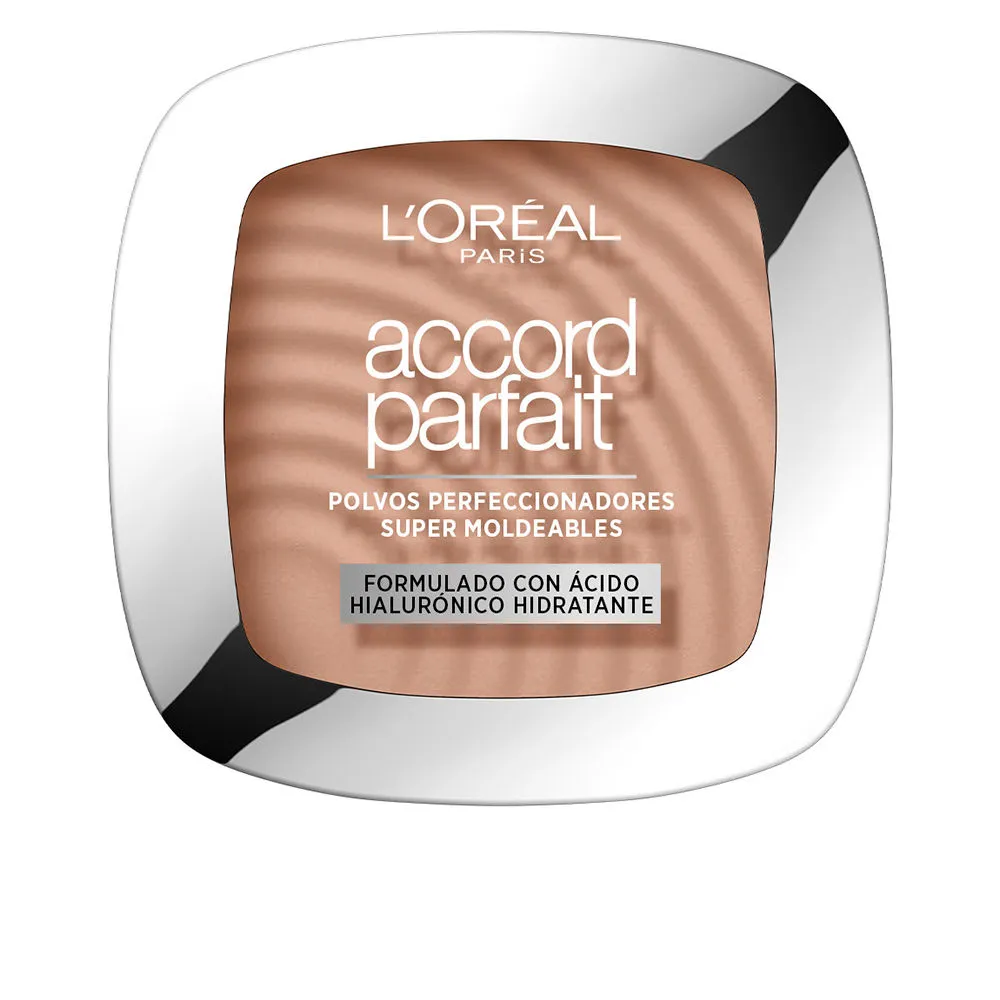 ACCORD PARFAIT Setting Powder Hyaluronic Acid #4.N